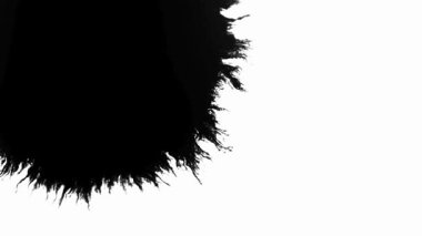 Siyah bir mürekkep damlası yayılır ve temiz beyaz bir yüzey üzerinde büyük bir organik leke yaratır.