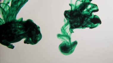 Koyu yeşil sıvı mürekkep, berrak suya düştü. Dönüyor ve soyut güzel desenlere yayılıyor. Ve pigment bulutları gibi duman çıkıyor.