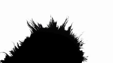 Organik siyah mürekkep lekesi, alt orta bölgeden beyaz bir arkaplana yayılarak desenli bir maske örtüsünü ortaya çıkarıyor.