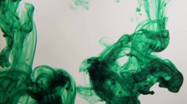 Canlı yeşil mürekkep bulutları şeffaf suda genişliyor ve karışıyor. Beyaz arka planda karmaşık organik şekiller ve sanatsal akışkan hareketler oluşturuyor.