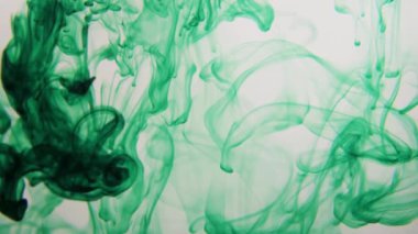 Yoğun yeşil mürekkep, yoğun kıvrımlı bulutlar ve tüm çerçeve boyunca akan karmaşık pigment desenleri oluşturur.