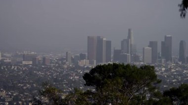 Gökdelenleri sisli bir şehir manzarası ve önplanda yeşil ağaçlar üzerinde yükselen gökdelenlerle modern bir şehrin uzak manzarası