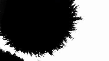 Siyah mürekkep damlaları beyaz desenli kağıt yüzeylere yayılır ve organik soyut şekiller ve makro lifli desenler yaratır.