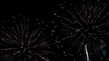 Gece gökyüzünde patlayan muhteşem pembe ve mor havai fişekler bayram ya da özel bir kutlama için güzel bir ışık gösterisi yaratıyor.