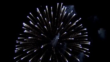 Göz kamaştırıcı beyaz ve mavi havai fişekler karanlık gece gökyüzünde patlıyor ve şenlikli bir kutlama sırasında güzel bir ışık gösterisi yaratıyor.