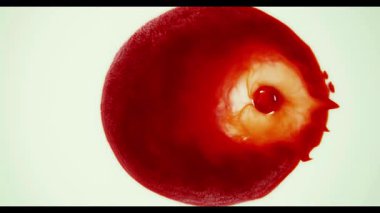 Beyaz yüzeye yayılan büyük kırmızı mürekkep damlası yoğunlaştırılmış merkezle dairesel soyut desenler ve makro kanama etkileri yaratıyor.