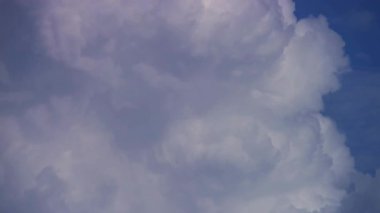 Dalgalanan beyaz kümülüs bulutlarının mavi gökyüzüne doğru yavaşça hareket ettiğini ve bir kuşun yanlarından uçtuğunu yakından görebiliriz.