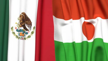 Meksika bayrakları ve gerçekçi kumaş desenli NIGER.