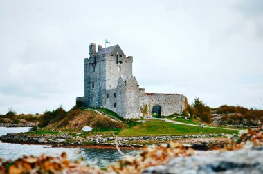 Güzel manzara Dunguaire Şatosu, İrlanda
