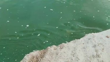 Hafif Dalgalanan Su Işık Kumlu Nehir Yüzeyi 'nin yanında