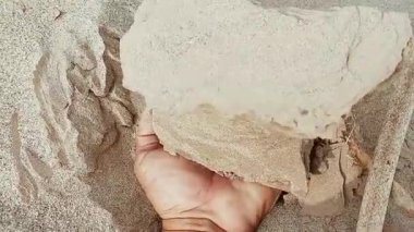 El bilgisayarı Örnekleri Güzel Laminlenmiş Tortu Düzeni Gösteriyor