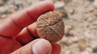 Eşsiz Doğal Taş Şablonlarını Kapat Renk ve Jeolojik Detaylar