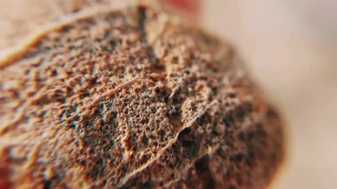 Eşsiz Doğal Taş Şablonlarını Kapat Renk ve Jeolojik Detaylar