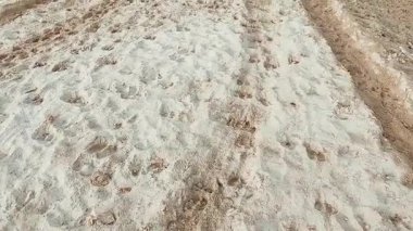 Hayvan izleri kumlu tepecikte solgun puslu sabah gökyüzünün altında