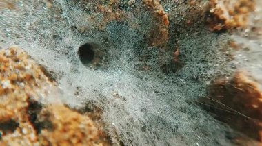 Örümcek hunisinin makro yakın plan çiğ damlalarıyla ağ girişi