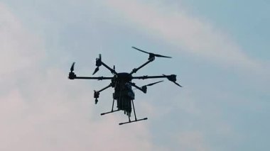 Uçuş sırasında parlak gökyüzüne karşı siluetlenmiş ağır altıpatlar.