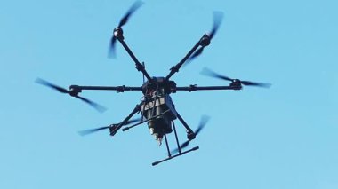 Ağır kara altıpatlar Parlak gökyüzünde sabit bir şekilde süzülüyor