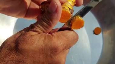 Temel baharat hazırlamak için taze zerdeçal rizomlarının kesilmesi