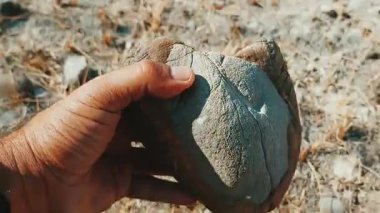 Kuru Kayalık Arazide Bulunan Eşsiz İki Ton Taşı