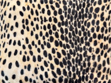 Sarı, altın, kahverengi ve siyah renkli leopar desenli grafik arkaplanı kapatın. Hayvan derisi leopar dokusu pürüzsüz arkaplan.