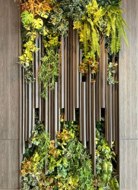 Flütlü bir duvardaki yeşil bahçeyi kapat. Çeşitli yaprakları birleştirilmiş ve istiflenmiş doğal flüt duvar yeşillikleri. Dikey yeşil bitki tasarımı. Kusursuz arkaplan dokusu.
