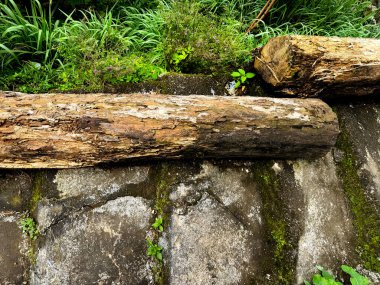 Güzel, kırsal ve yıpranmış ağaç kütükleri aşınmış ve açığa çıkmış beton bloklar ve yabani otlar. Doğadaki estetik unsurlar. Kusursuz arkaplan dokusu.