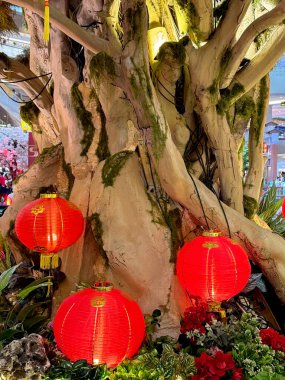 Aydınlatılmış kırmızı fener, oryantal bonsai ağaçları, dev altın sikkeler ve çalılarla Çin yeni yıl süslemeleri. Çince karakter Fu Means Blessing 'i heceler. Mutlu Çin Yeni Yılı