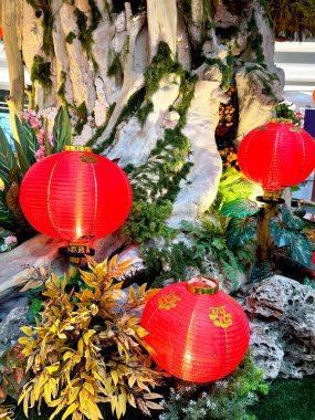 Aydınlatılmış kırmızı fener, oryantal bonsai ağaçları, dev altın sikkeler ve çalılarla Çin yeni yıl süslemeleri. Çince karakter Fu Means Blessing 'i heceler. Mutlu Çin Yeni Yılı