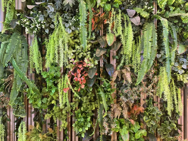 Flütlü bir duvardaki yeşil bahçeyi kapat. Çeşitli yaprakları birleştirilmiş ve istiflenmiş doğal flüt duvar yeşillikleri. Dikey yeşil bitki tasarımı. Kusursuz arkaplan dokusu.