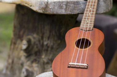 Ukulele ses müzik için