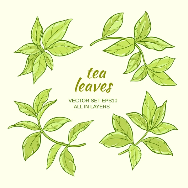 Green tea leaves set — Stock Vector