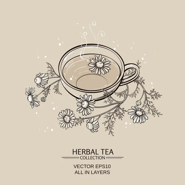 Taza de té de manzanilla — Vector de stock
