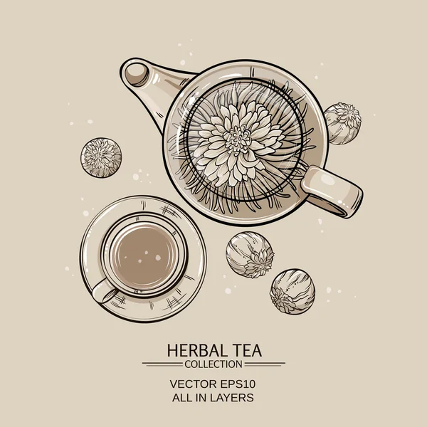Chá de floração em bule e xícara —  Vetores de Stock