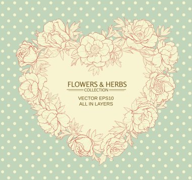 Peonies vektör çerçeve