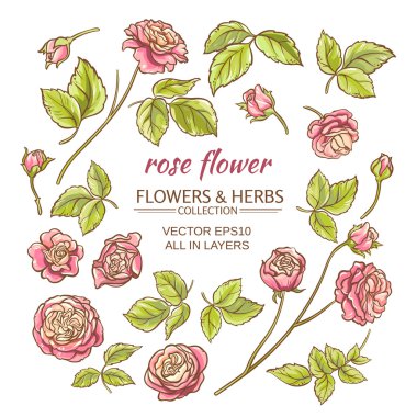 Gül öğeleri vektör set