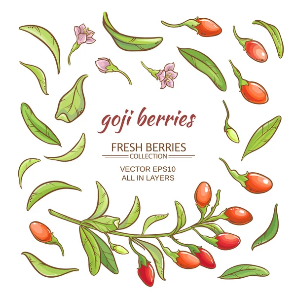 Goji berry vector set - Stok Vektor