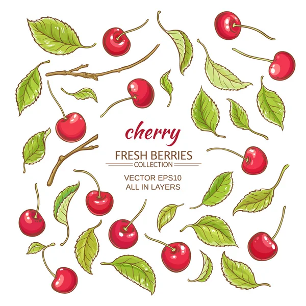 Cherry vector set — Stock Vector