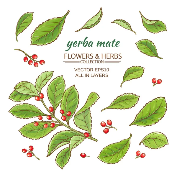 Yerba mate vector set — Stockvector