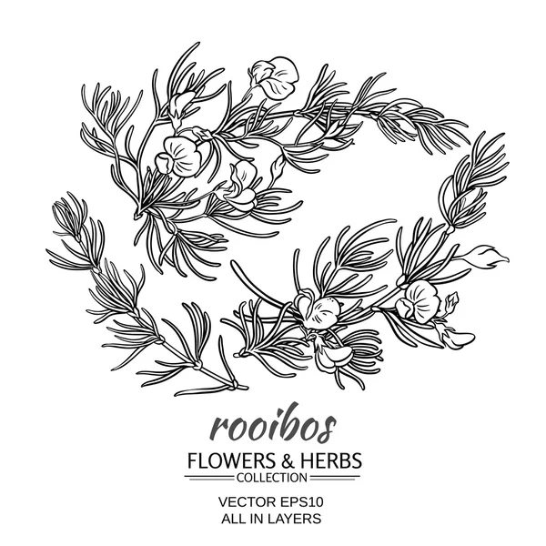 Rooibos vektor set — Stock vektor