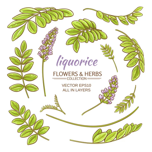 Liquorise elementen vector set — Stockvector