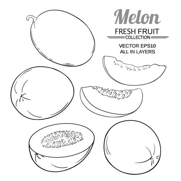 Diset vektor melon - Stok Vektor