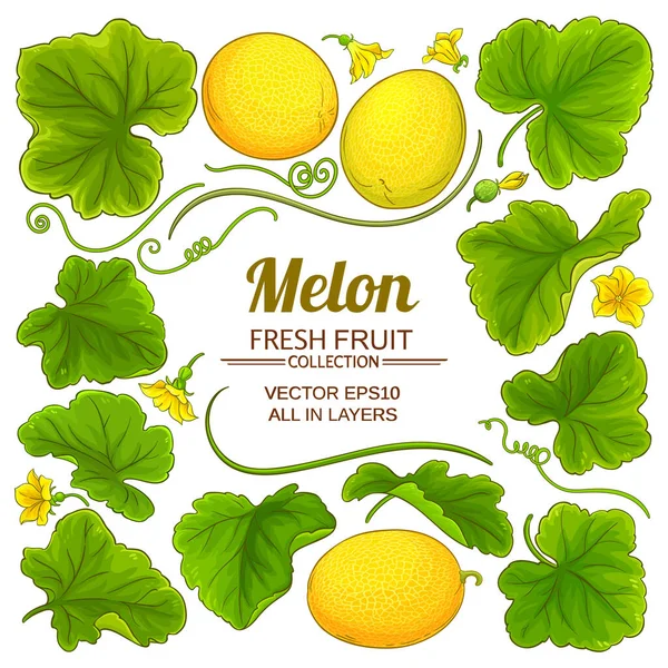 Meloenelementen ingesteld — Stockvector