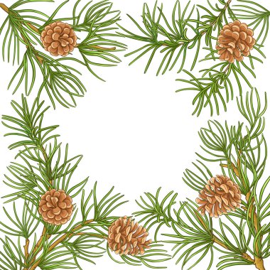 pine vektör çerçevesi