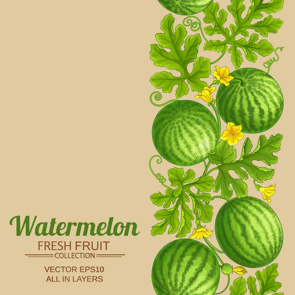 Watermeloen patroon op kleur achtergrond — Stockvector