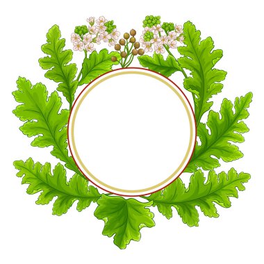 crambe bitki çemberi vektör çerçevesi