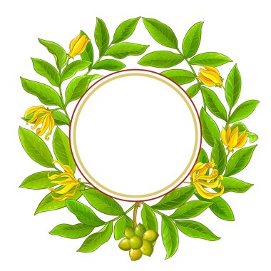 beyaz arkaplan üzerindeki ylang ylang daire çerçevesi