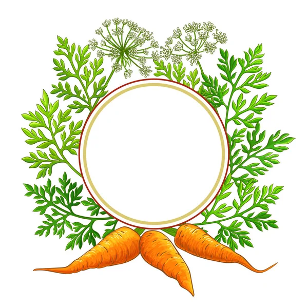 Carrot frame on white background — Stock Vector