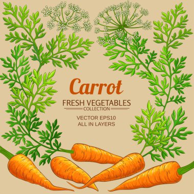 Renkli arkaplanda havuç çerçevesi