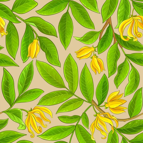 Ylang ylang шаблон на цветном фоне — стоковый вектор