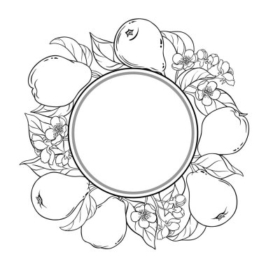 Çiçekli Armut Şubesi, Meyveler ve Yapraklar Yuvarlak Çerçeveli. Organik doğal besin maddeleri, vejetaryen diyet ürünleri. Tasarım veya dekorasyon için izole edilmiş vektör.